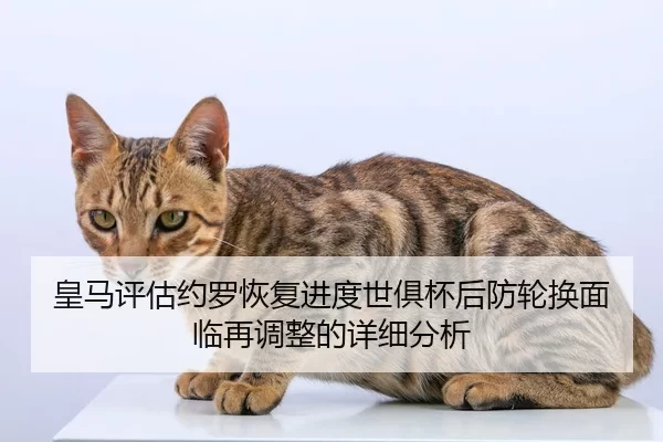 皇马评估约罗恢复进度世俱杯后防轮换面临再调整的详细分析