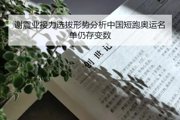 谢震业接力选拔形势分析中国短跑奥运名单仍存变数