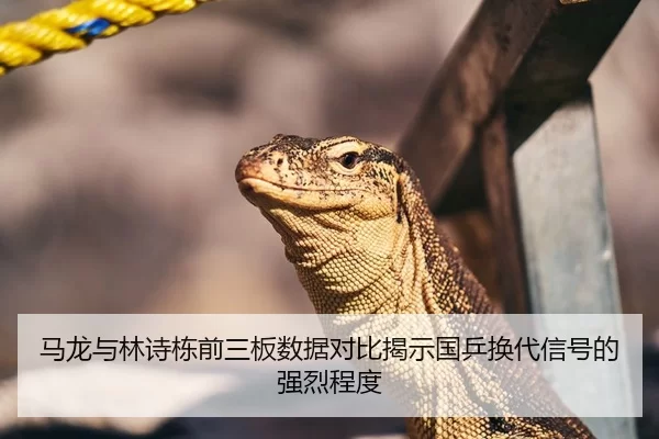 马龙与林诗栋前三板数据对比揭示国乒换代信号的强烈程度
